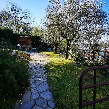 דירה Casa Olivi *